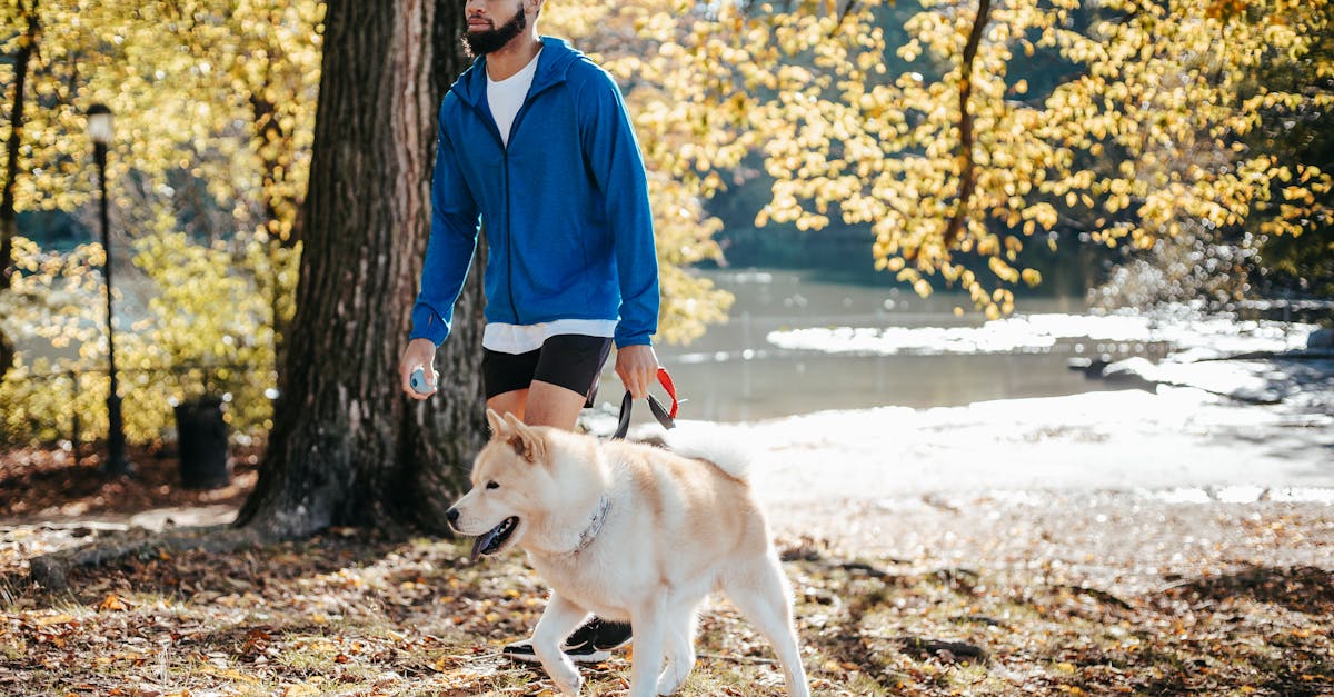Espace canin de la petite ceinture du 16me arrondissement