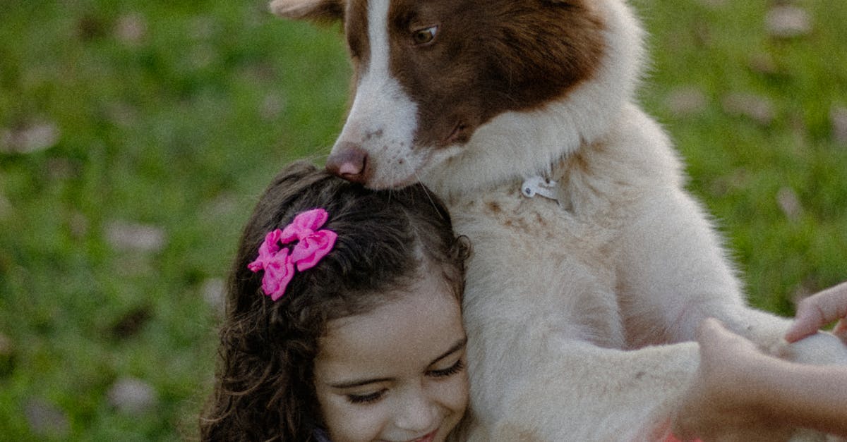 Espace canin du Mail Pierre Desproges