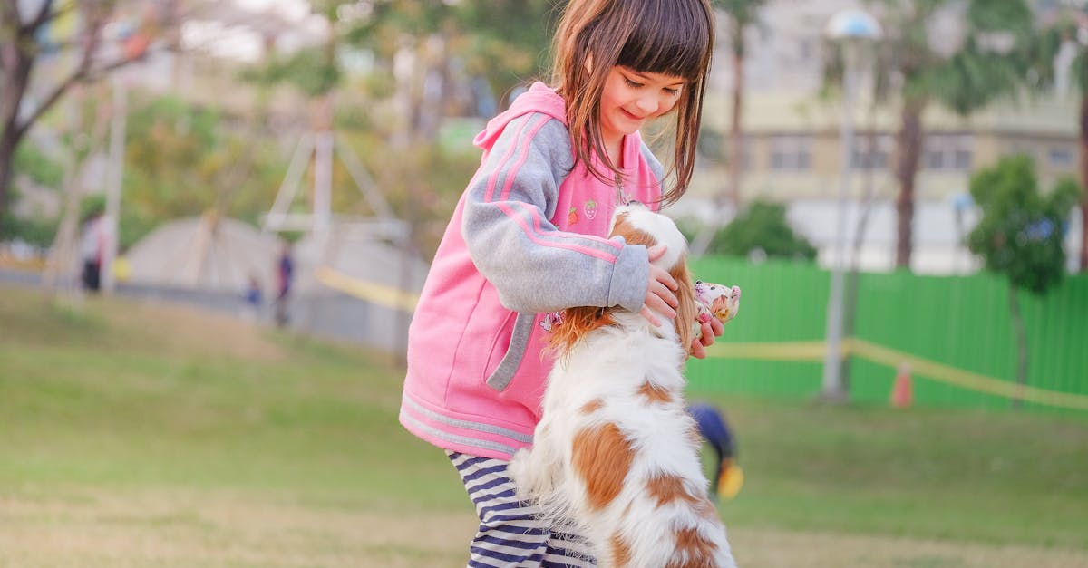 Parc canin