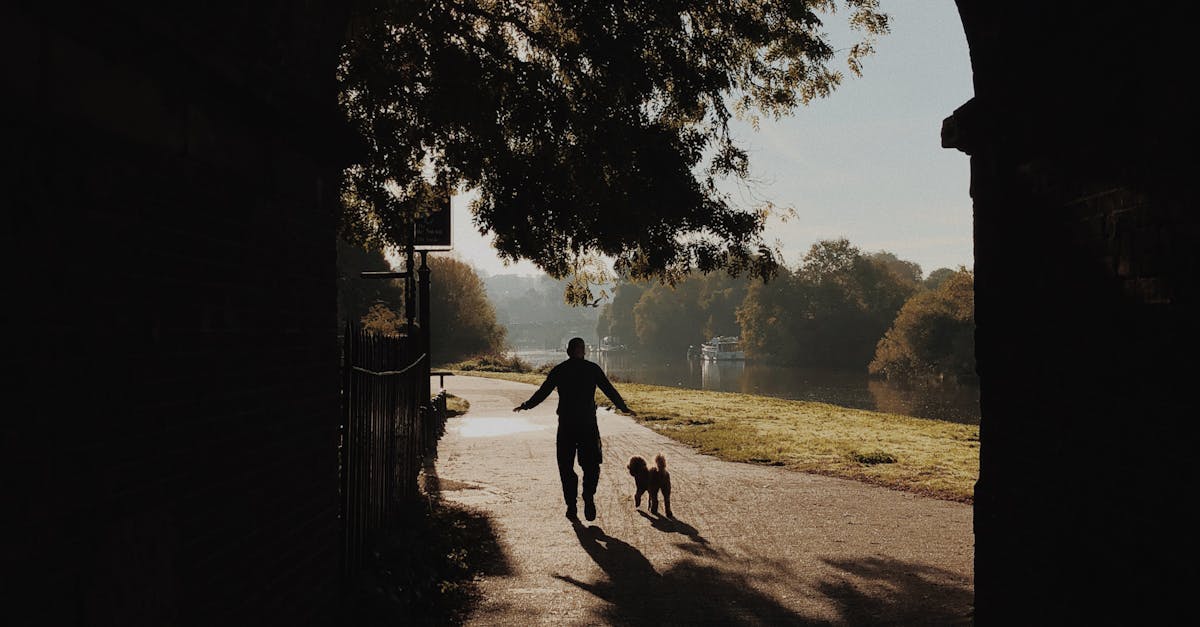Parc canin